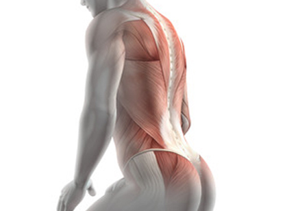 low back pain therapy USA